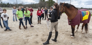 Retired UNH horse Flash models the equine digestive system for students participating in the 2013 Equine Education Day.