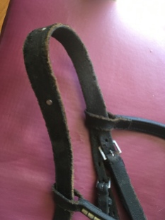 A close up of my mouse-devoured bridle.